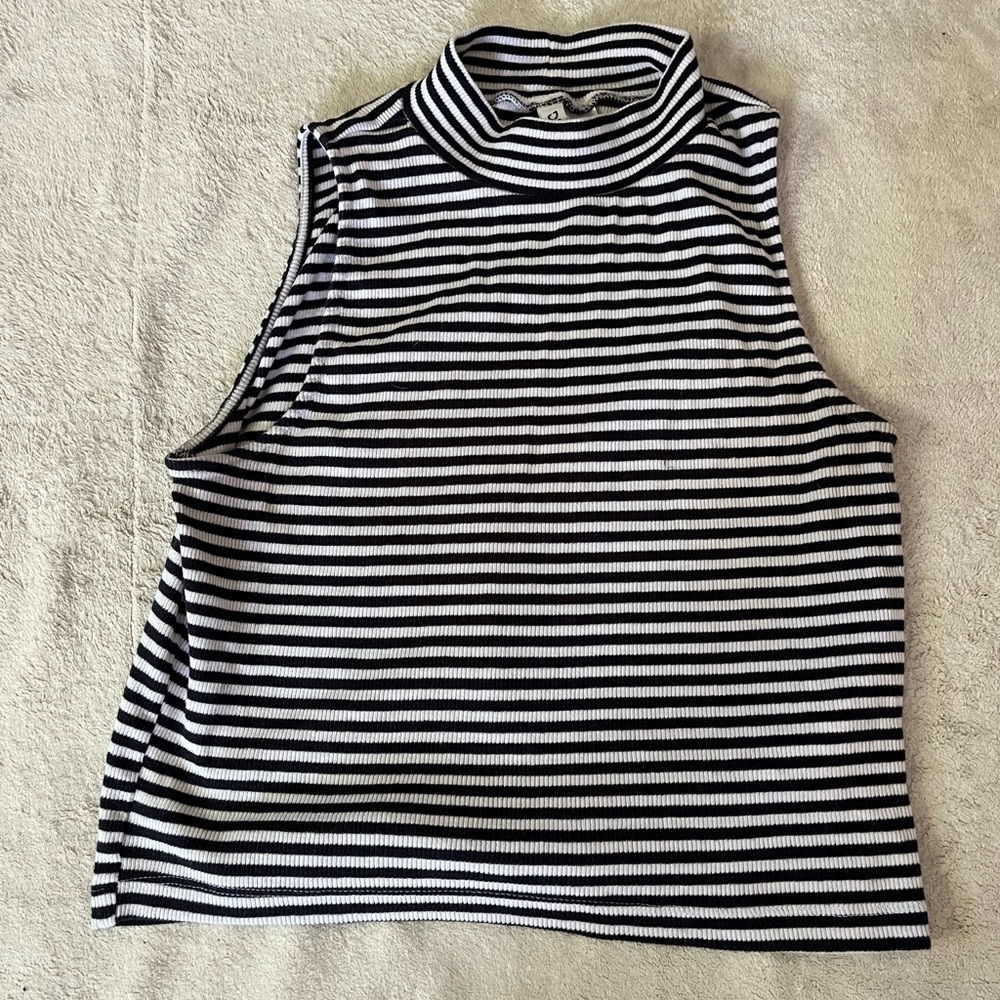 Cropped striped turtle neck